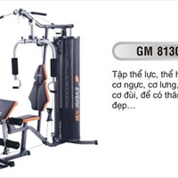 Giàn tập đa năng GM 8130 