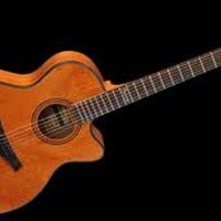 Famosa Acoustic Guitar FF10AU