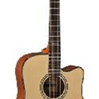 Famosa Acoustic Guitar FD20SU