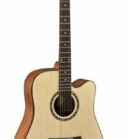 Dove Acousic Guitar DD-12C