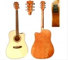 Dove BPm Acousic Guitar B-61CNA