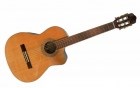 Richmond Classical Guitar RMC-6091