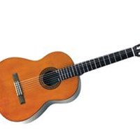  Đàn Guitar C Series-C45 