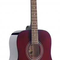  Guitar Acoustic Stagg SW205TR 