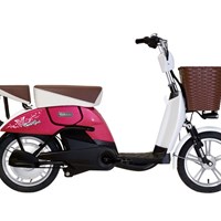 Xe đạp điện Yamaha Cute Girl F