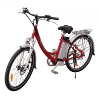 Xe đạp điện Chinsu TDF105Z 250w