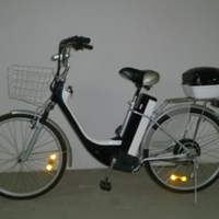 Xe đạp điện Chinsu TDF108Z 250w 
