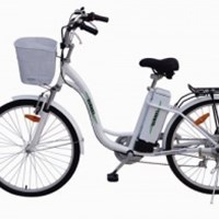 Xe đạp điện Chinsu TDF123 250w 