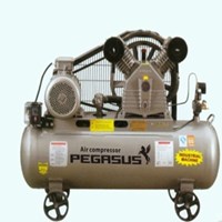 Máy nén khí PEGASUS TM-V-0.17/8-70L