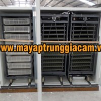 MÁY ẤP TRỨNG NHẬP KHẨU KN-12672