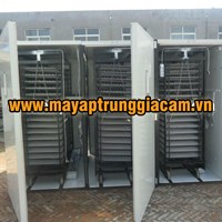 MÁY ẤP TRỨNG NHẬP KHẨU KN-16896