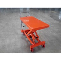 Xe nâng mặt bàn tải trọng 300kg