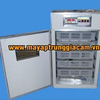 Máy nở KN-5 500 pcs