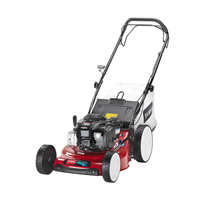 Máy cắt cỏ Toro Steel Deck Recycler 20943