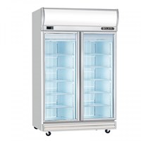 Tủ đông trưng bày 2 cánh kính Berjaya 2D/DF-SM-EV