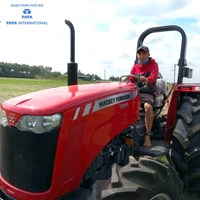 Máy cày Massey Ferguson MF2635