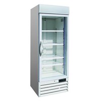Tủ đông đứng 1 cánh kính Firscool G-D420