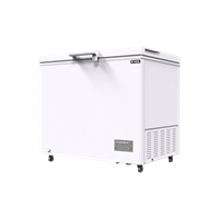 Tủ đông nằm Sanden intercool SNH-0265 (260 lít)