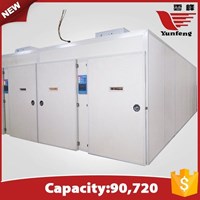 Máy nở trứng YFXF-90720