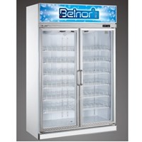 Tủ mát 2 cánh kính belnor PG1.2L2W