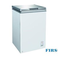 Tủ đông Firscool G-F100 S