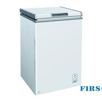 Tủ đông Firscool G-F200