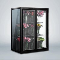 Tủ trưng bày hoa tươi hai cửa Southwind 18FE-2D
