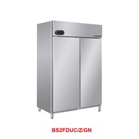 Tủ mát 2 cánh Berjaya BS2FDUC/Z/GN