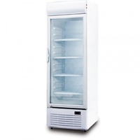 Tủ lạnh trưng bày đồ uống BJY-DCBS268