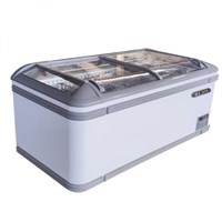 Tủ đông trưng bày cửa kính dạng lùa Berjaya BJY-IFGD-600L