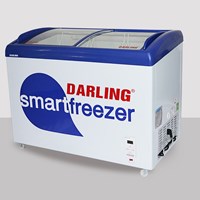 Tủ đông Darling DMF-3079ASK - 300L