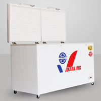 Tủ Đông Darling DMF-6700AX