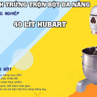 Máy đánh trứng Đài Loan đa năng 40L HUBART HV-401