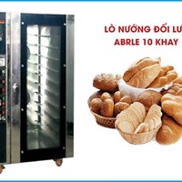 Lò nướng đối lưu 10 khay điện Arble YBR-10D