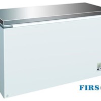 Tủ đông nằm Firscool G-F600 S