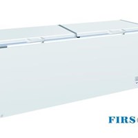 Tủ đông nằm Firscool G-BD-980