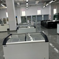 Tủ Đông Nằm Cánh Kính Cong Cobi CBSD-420Q