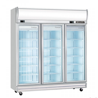 Tủ đông mát 3 cánh kính Berjaya 3D/D2F1C-SM