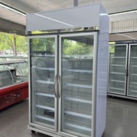 Tủ Mát Trưng Bày Carrier Inverter 2DGB-IVTH