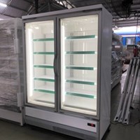 Tủ Đông Đứng 2 Cánh Kính Panasonic SRL- PT4075THB