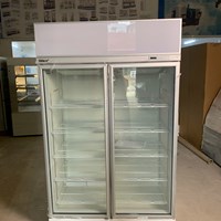 Tủ Mát 2 Cánh Kính 