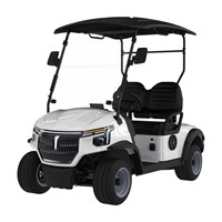 Xe điện chơi golf Langqing LQS023 (2 chỗ ngồi – bản gầm thấp)