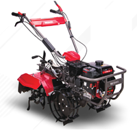 Máy xới đất Weima WMX620-1