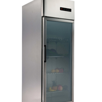 Tủ mát 1 cánh kính Saige VWF62G-1