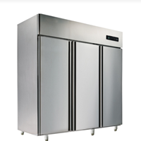 Tủ đông 3 cánh Saige VDF185-B3