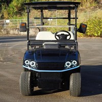 Xe điện sân golf 2 chỗ A-C2