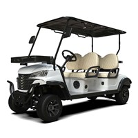 Xe điện du lịch 4 chỗ G-C4