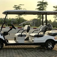 Xe điện Lvtong LT-A627.4+2