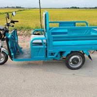 Xe điện ba bánh chở hàng 1.5 Egale