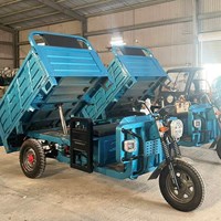 Xe điện chở hàng 3 bánh tải trọng 2 tấn